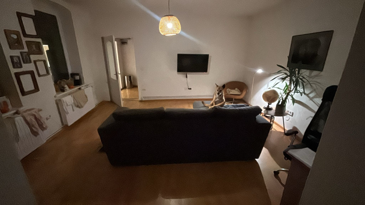 Casa de inchiriat, Pet Frandy!!