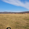 Teren extravilan-5.000 mp-Sura Mică.