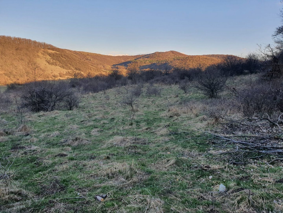 Teren 46.300 mp-zona Gușterița!!