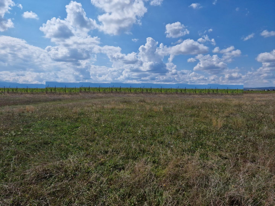 Teren de vânzare , zona Ind.de Vest-Sibiu!!